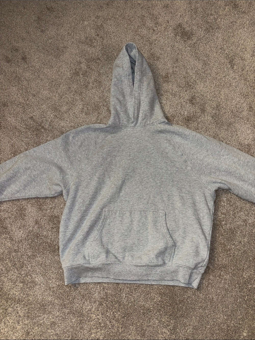 Aritzia cozy Sweatfleece perfect hoodie